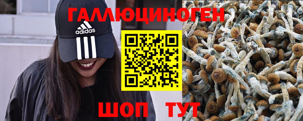 Псилоцибиновые грибы Magic Shrooms Кашира