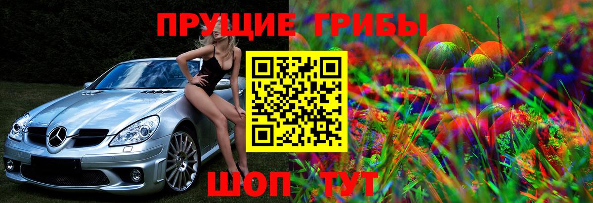 купить закладку  Вход с VPN  Галлюциногенные грибы MAGIC MUSHROOMS  Кашира  Галлюциногенные грибы ЛСД 