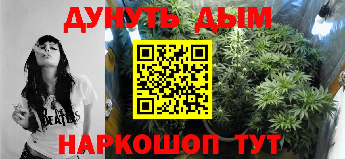 Канабис семена Кашира