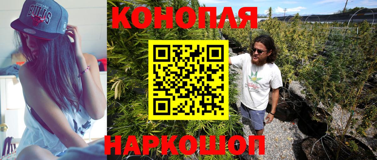 Канабис сатива  Бошки Шишки ГИДРОПОН  МАРИХУАНА семена  Конопля гибрид  Кашира  Вход с VPN 